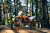 Питбайк SHARMAX PowerMax Mini 140